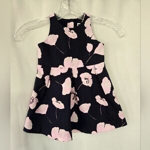 Janie & Jack Spring Navy/Pink Lined Dress with Pleats Size 18-24 months